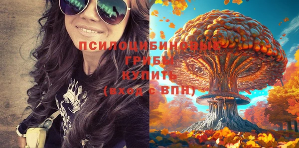 молекула духа Алексеевка