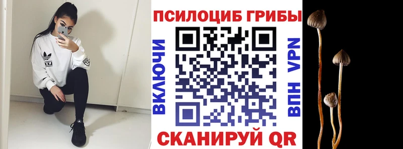 Галлюциногенные грибы MAGIC MUSHROOMS  где можно купить   Междуреченск 
